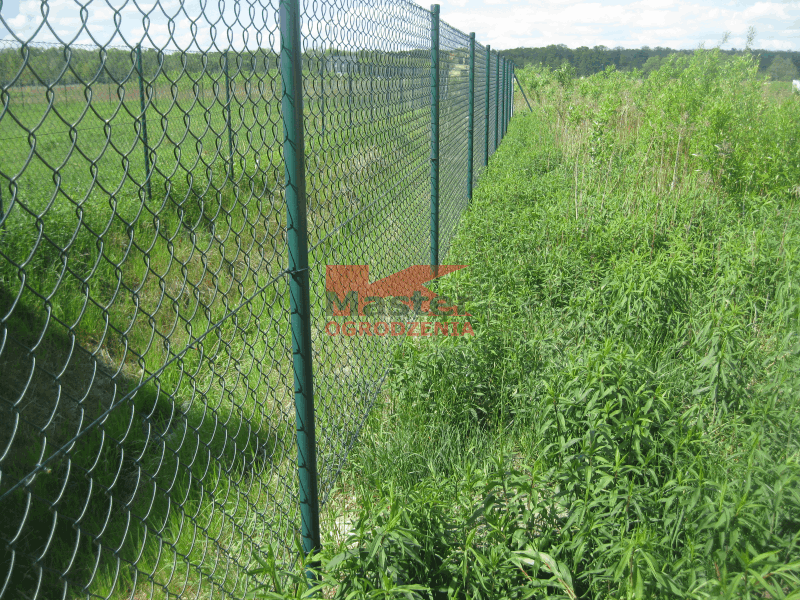 ogrodzenie siatkowe siatka pleciona zielona